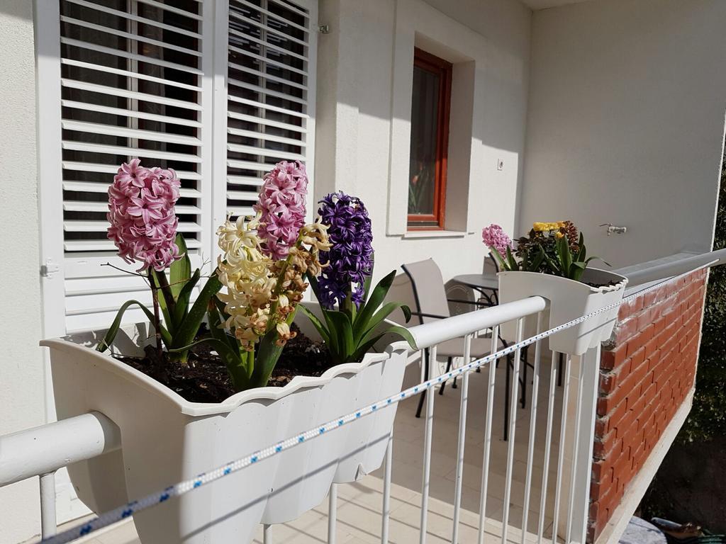 Apartment Vice Mali Spalato Esterno foto